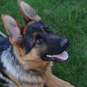 Meet your Posher, Marko