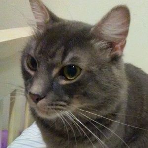 Meet your Posher, Isabella