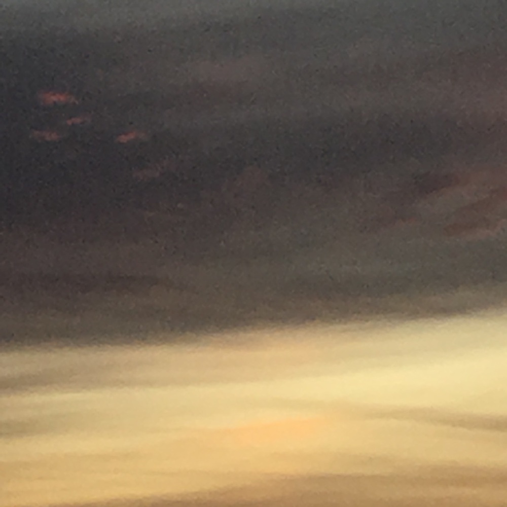 Meet your Posher, Drew