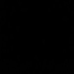 Meet your Posher, Zachary