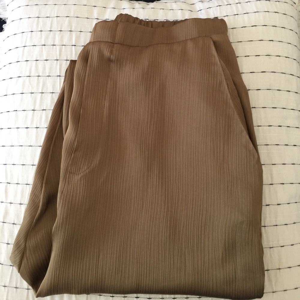 NWOT. ZARA PANTS