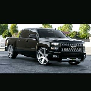 Meet your Posher, Leo