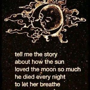 Meet your Posher, Kitty