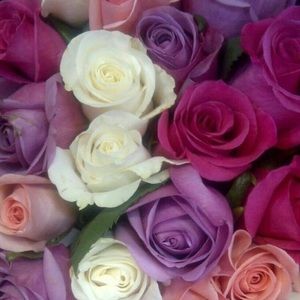 Meet your Posher, Eileen