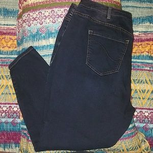 Lane Bryant Skinny Genius Fit