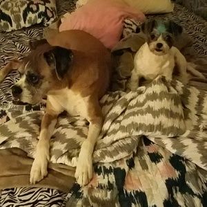 Meet your Posher, Chelsea