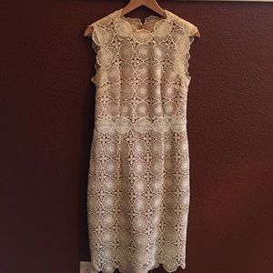 BHLDN White Lace sheath dress