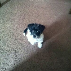 Meet your Posher, Lena