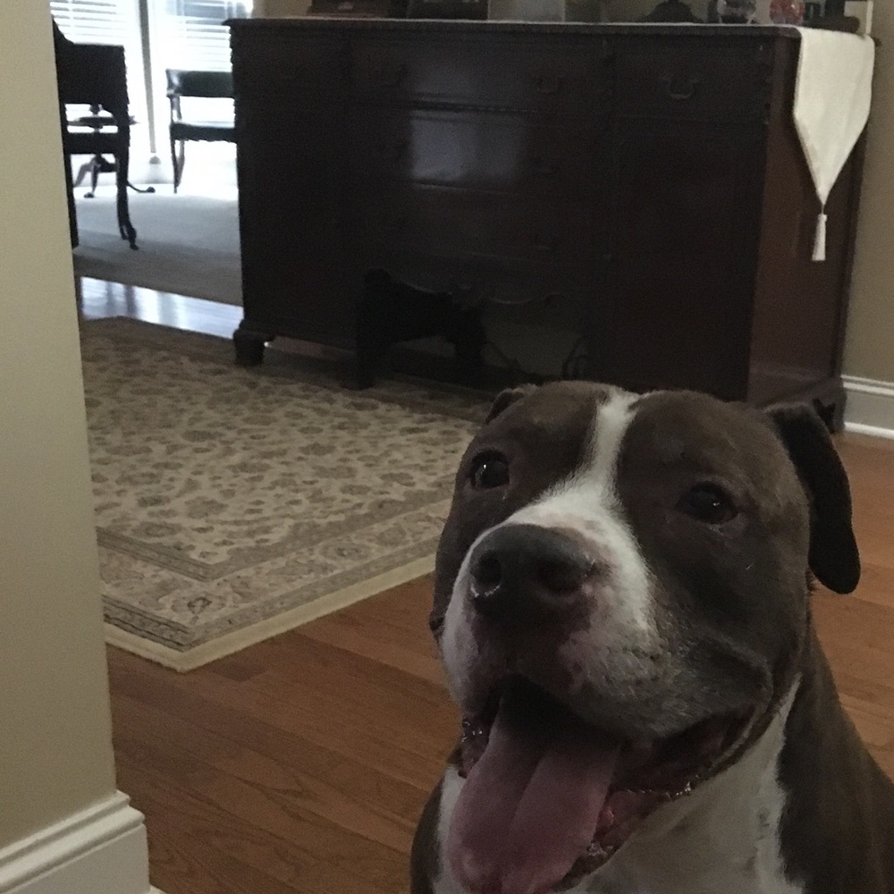 Meet your Posher, Angela