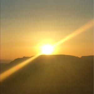 Meet your Posher, Brady