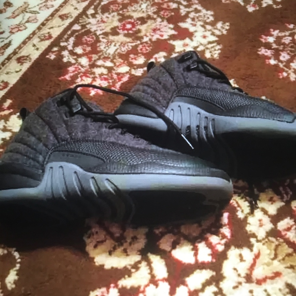 Jordan retro 12