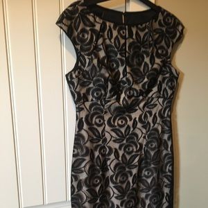 Maggy London Dress