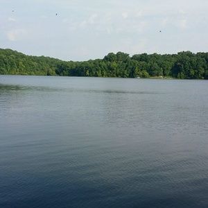 Meet your Posher, Carla