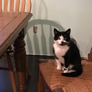 Meet your Posher, Jenna