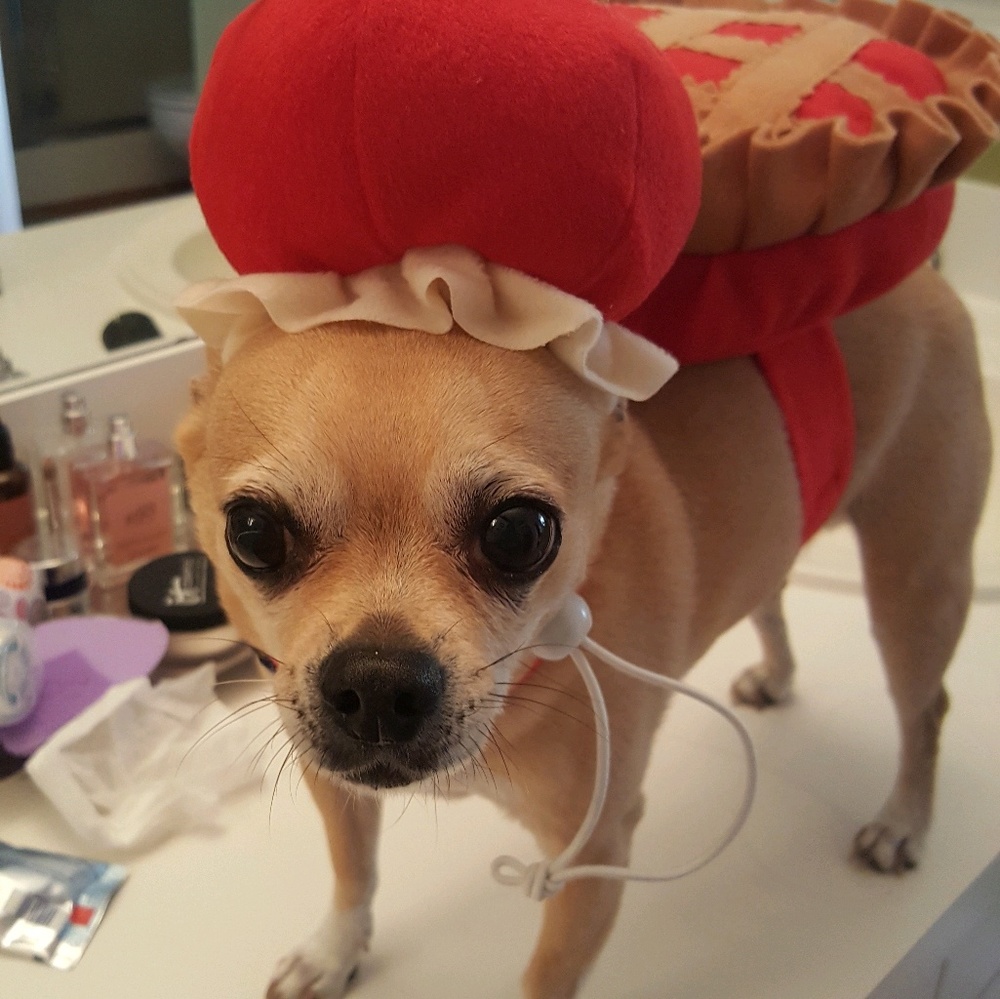 Meet your Posher, Ashly