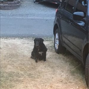 Meet your Posher, Aimee