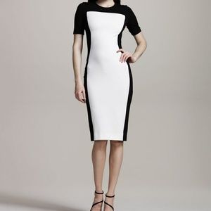 *Stella McCartney* Black and Ivory Dress*