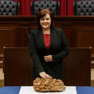 Meet your Posher, Rena