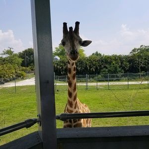 Meet your Posher, Greg