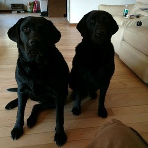 Meet your Posher, Matthew