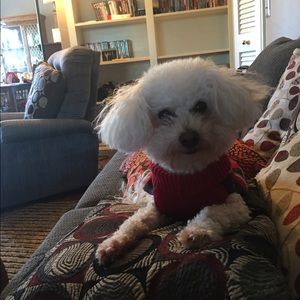 Meet your Posher, Connie