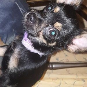 Meet your Posher, Danielle