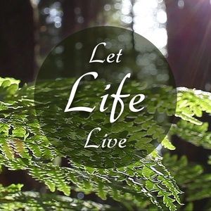 Meet your Posher, Thanh