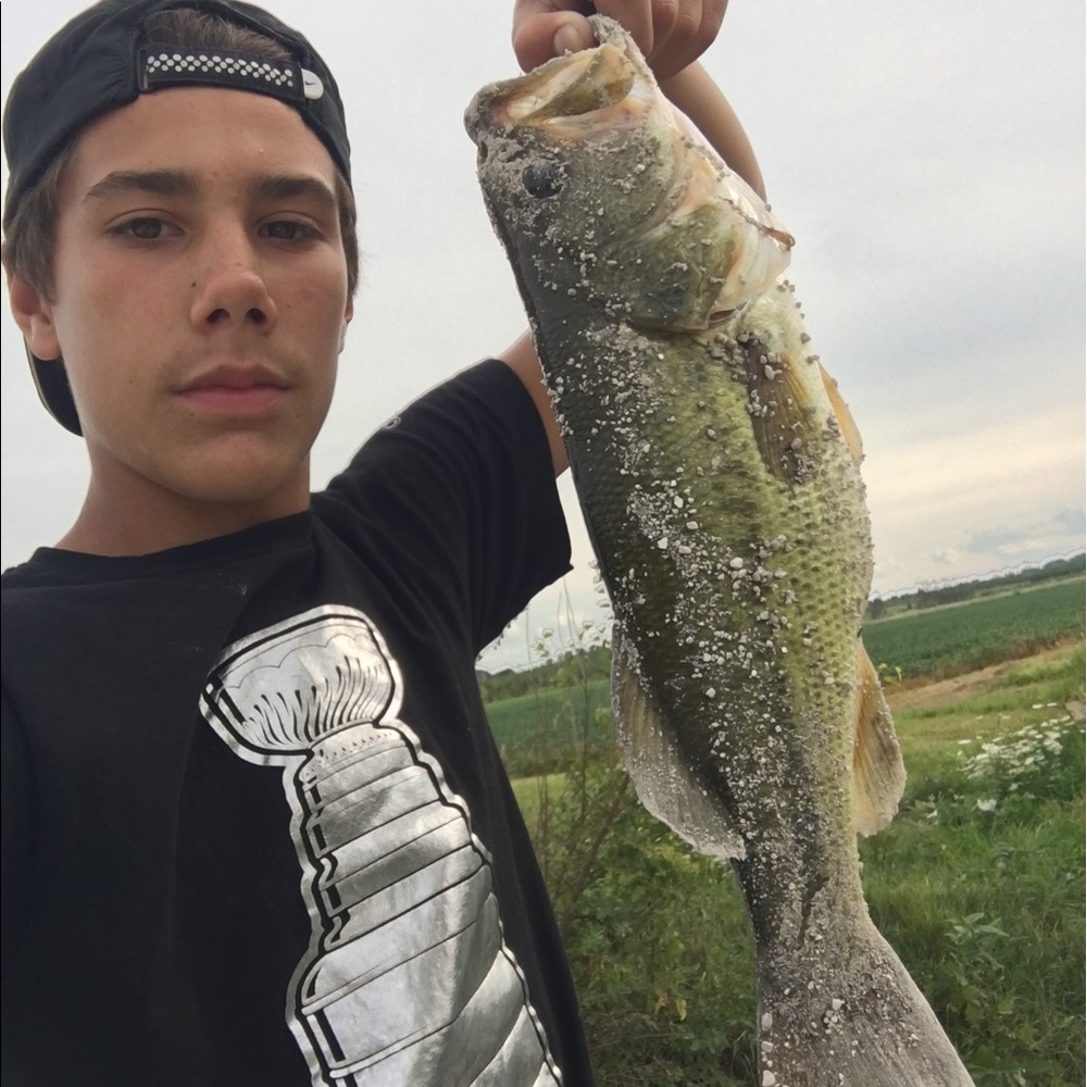 Meet your Posher, Julie