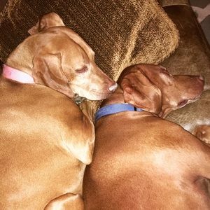 Meet your Posher, Kat