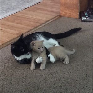 Meet your Posher, Tonya