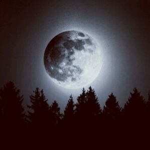 Meet your Posher, Itzel