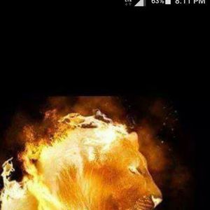 Meet your Posher, Bryan