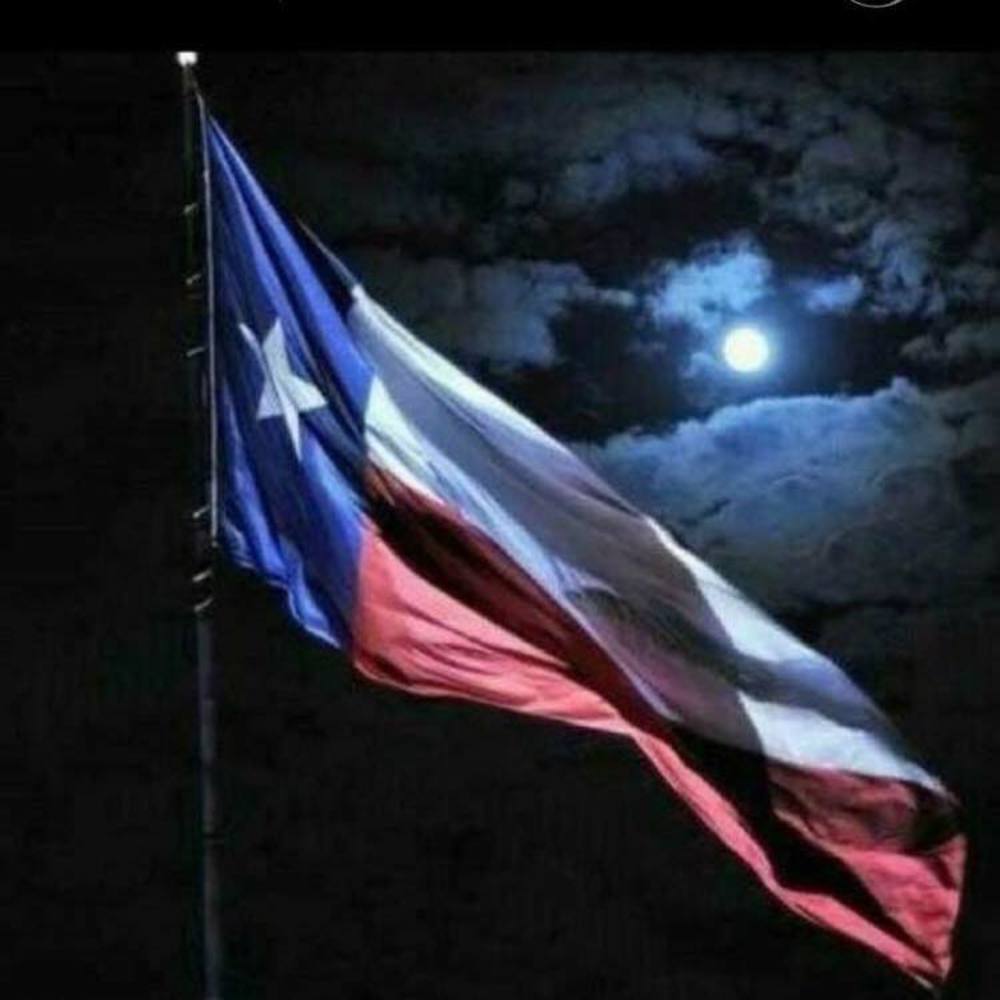 Meet your Posher, Carolee