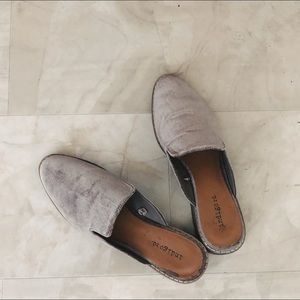 Velvet Grey Mules