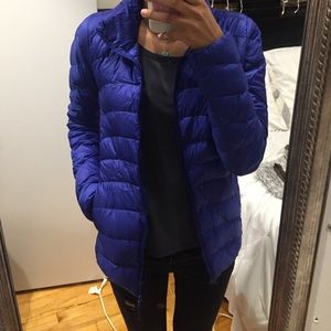 Royal Blue Uniqlo Puffer Jacket