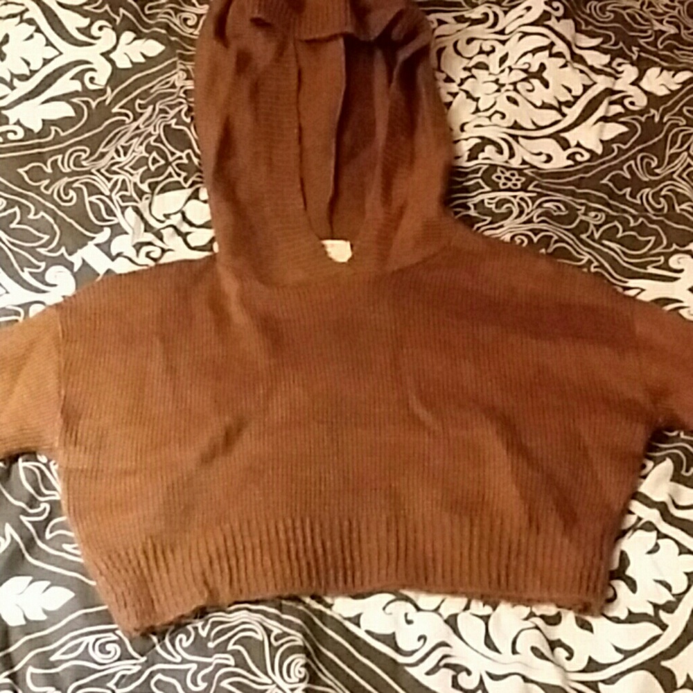 Urban outfitters cropped sweater with hood