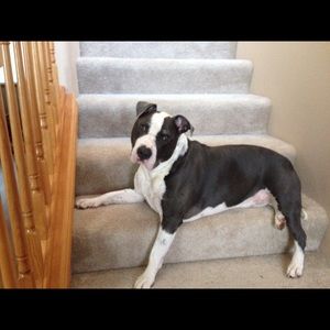 Meet your Posher, Jen