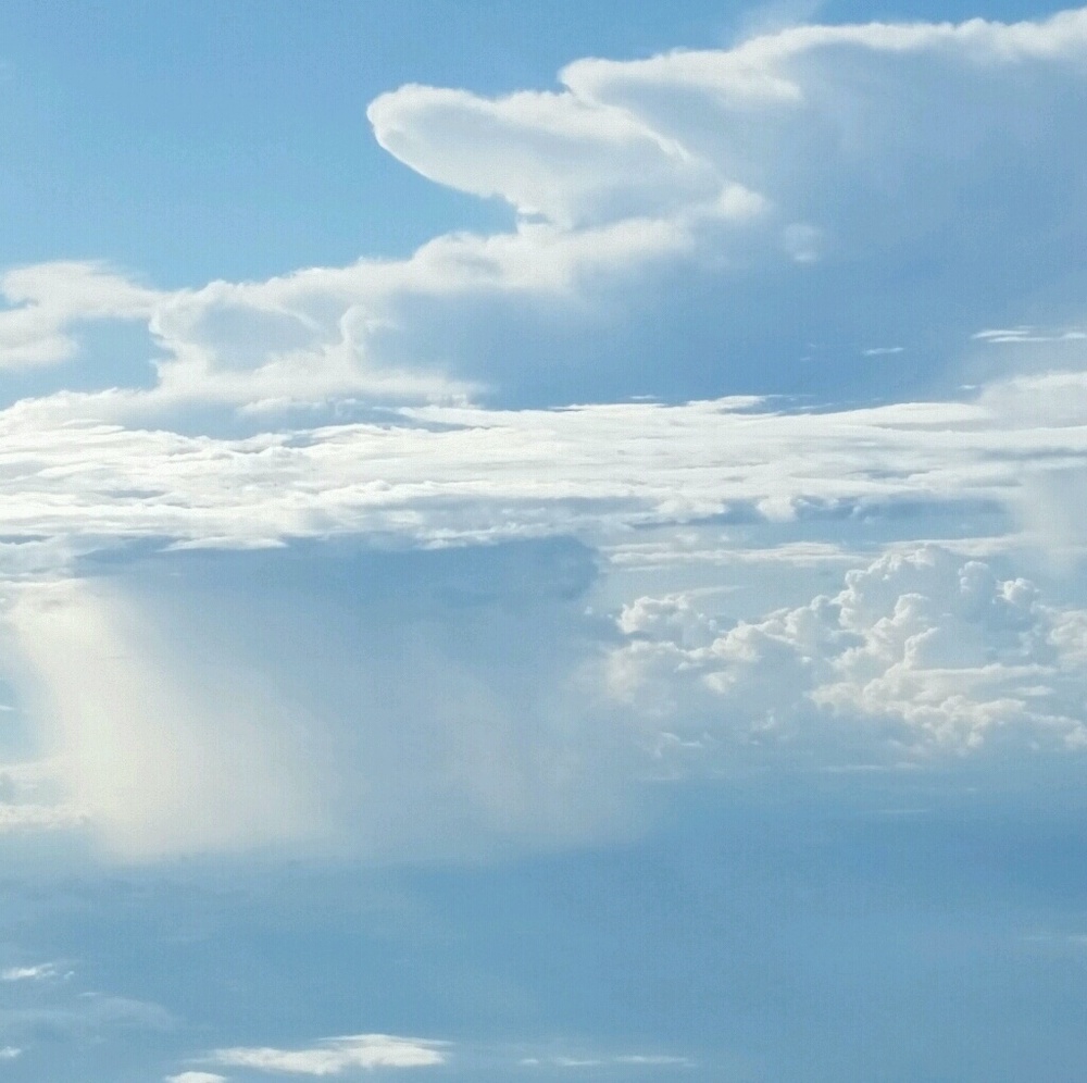 Meet your Posher, Pam