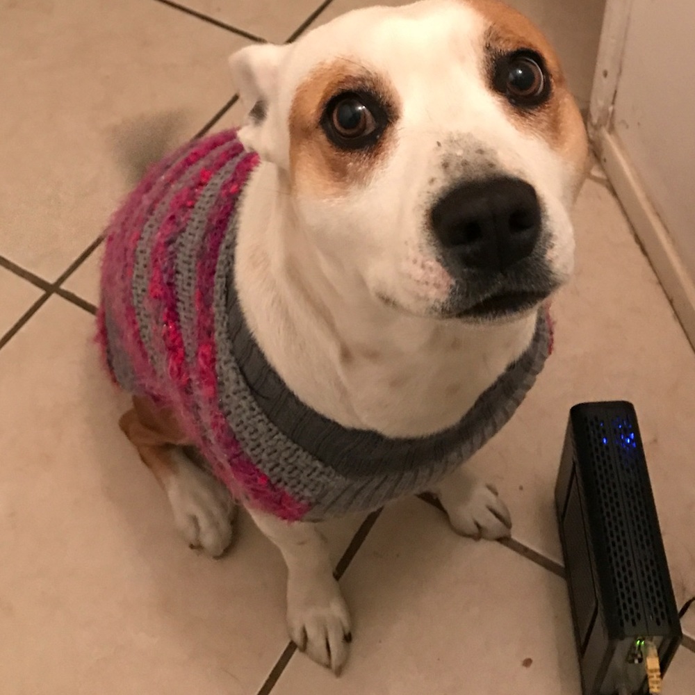 Meet your Posher, Geo