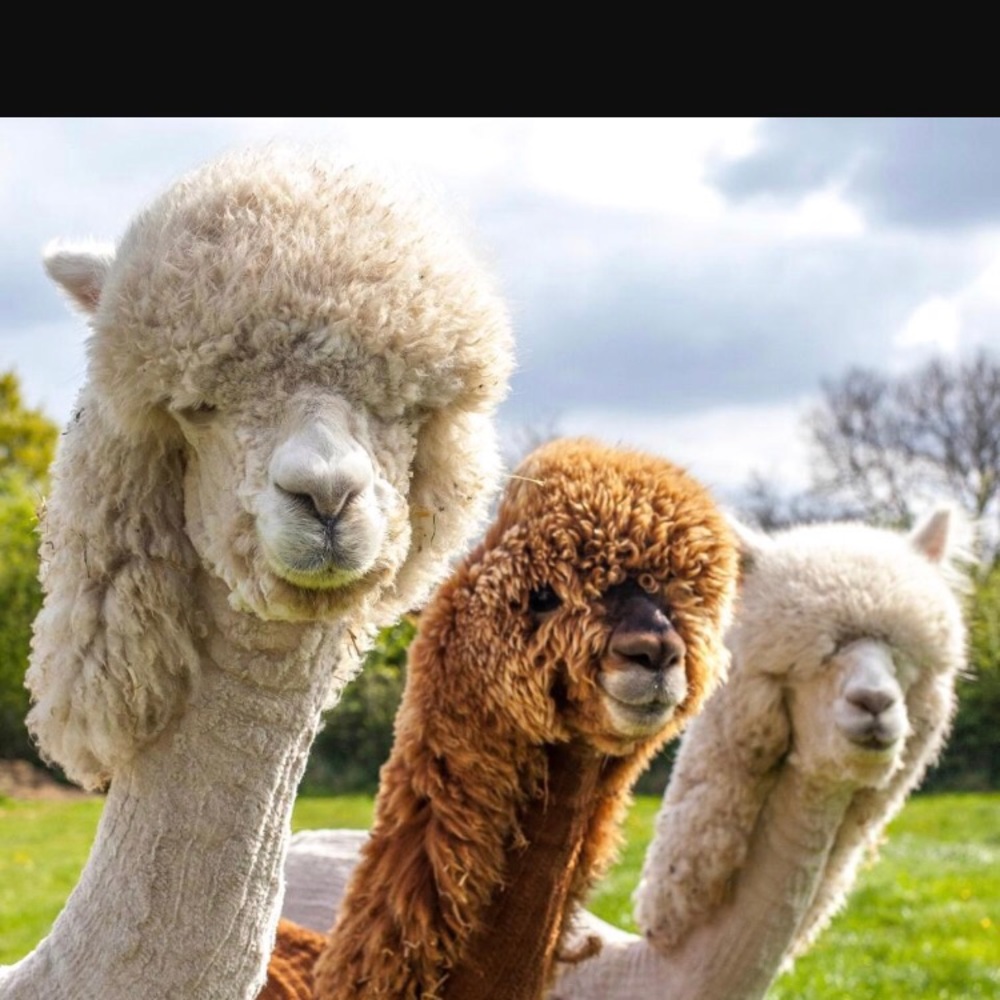 Meet your Posher, Katherine