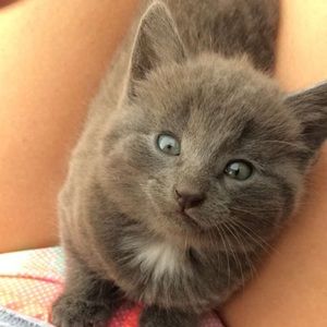 Meet your Posher, Audrey