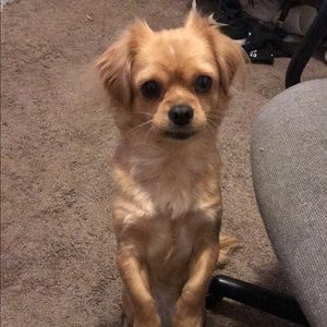 Meet your Posher, Sol