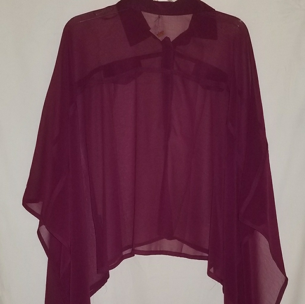 In Style Sheer Plum Blouse