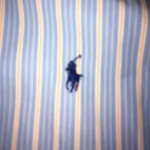 Men's Polo Buttoned Down Shirt