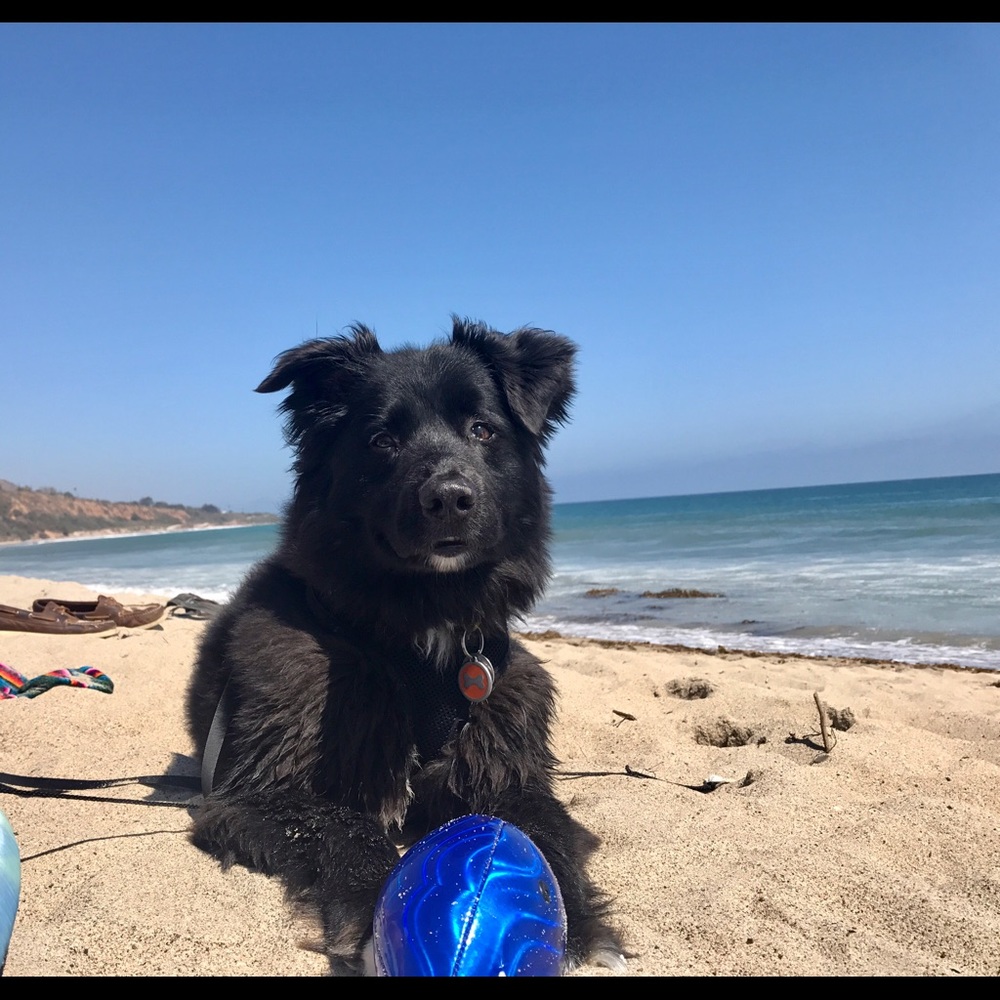 Meet your Posher, Lindsey