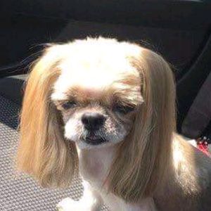 Meet your Posher, Hailey