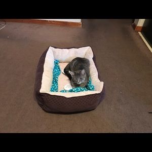 Meet your Posher, Terri