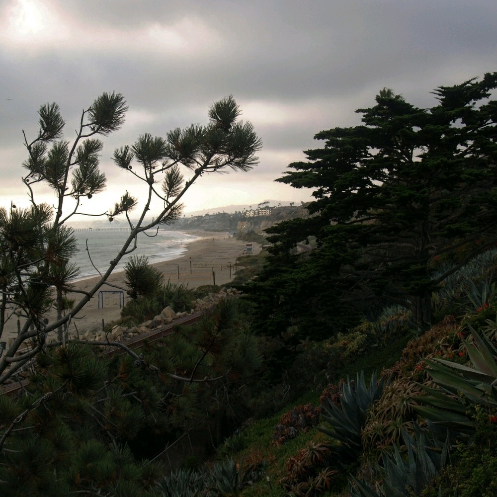 Meet your Posher, Ethan