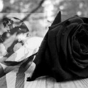 Meet your Posher, Anny