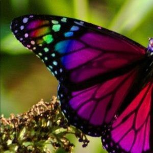 Meet your Posher, Martha